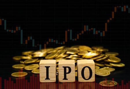 13 IPOs that were issued in FY24 yielded multibagger returns