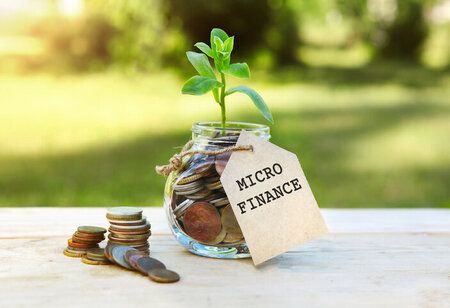 Micro Finance Market Outlook 2025