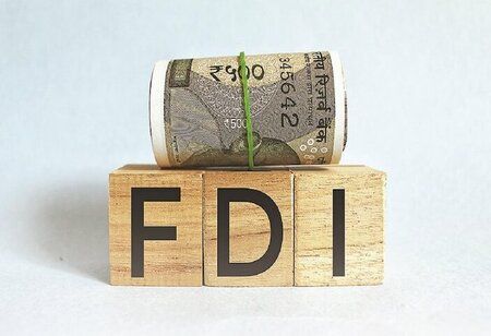 Government Considers FDI Limitations