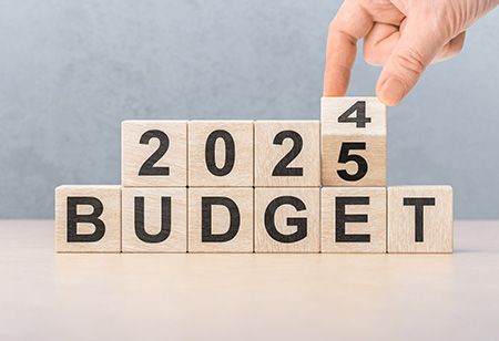 Union Budget 2025 Snippets